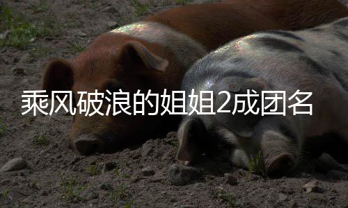 柏芝英杨名单落选乘风成团丞琳的姐等出道张破浪阵容 那姐2